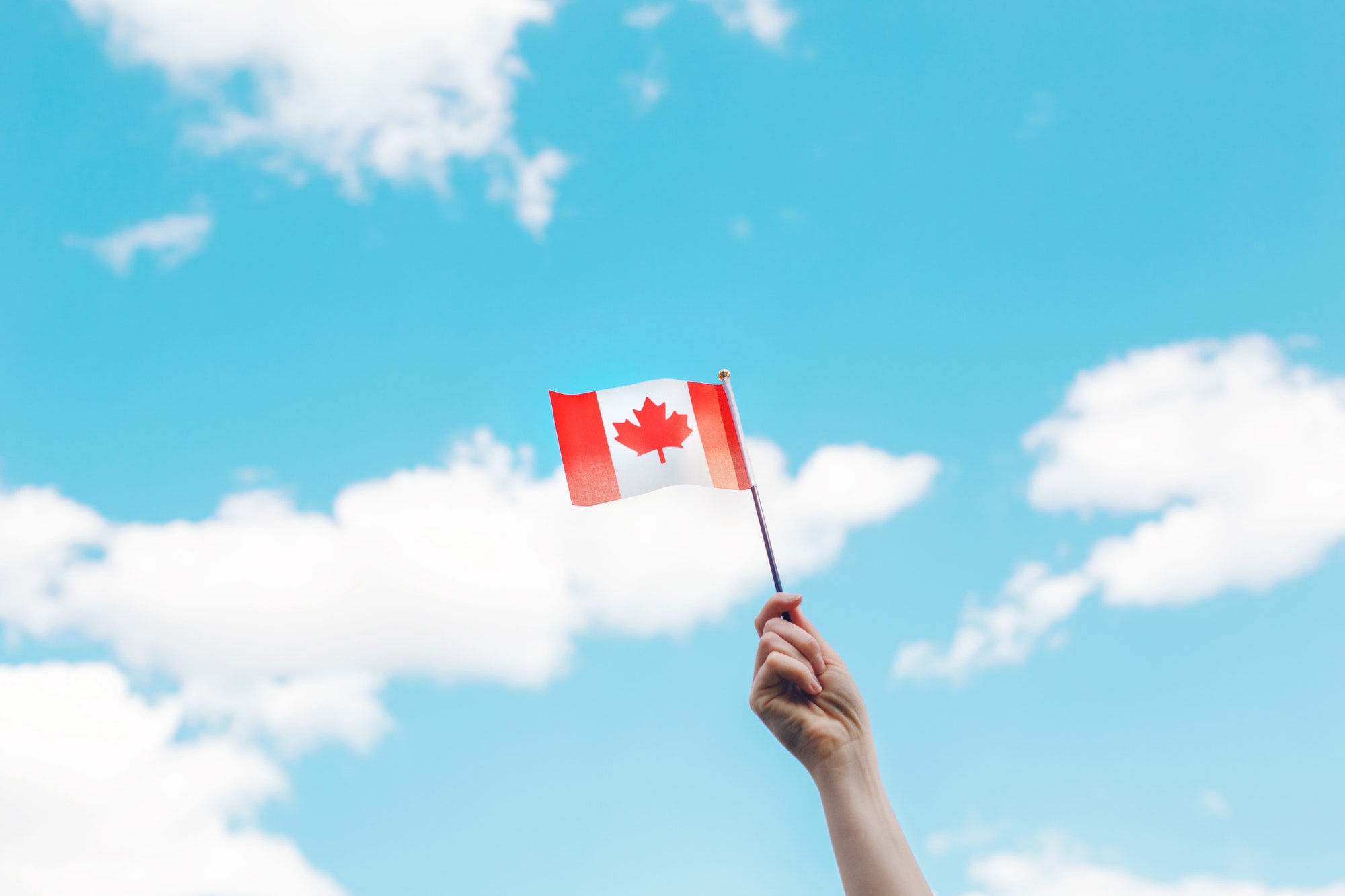 ~~~ Nominated ~~~ Canada; hand; Day; celebration; July; flag; national; waving; sky; holiday;